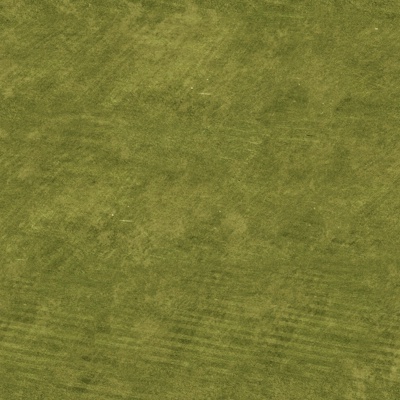  高清真实草地 草坪 草皮 植物 草丛灌木绿植地面 