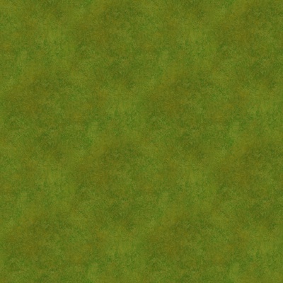  真实草地 草坪 草皮 植物 草丛绿植地 