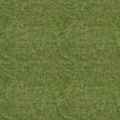  无缝草地草坪草皮地面 