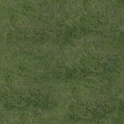  高清真实草地 草坪 草皮 植物 草丛灌木绿植地面 草地草坪 