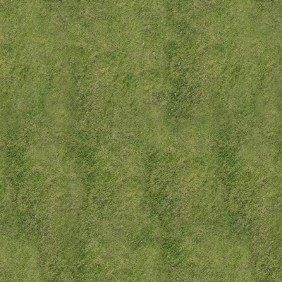  高清草皮地面 草地 草坪 植物 草丛灌木绿植地面 