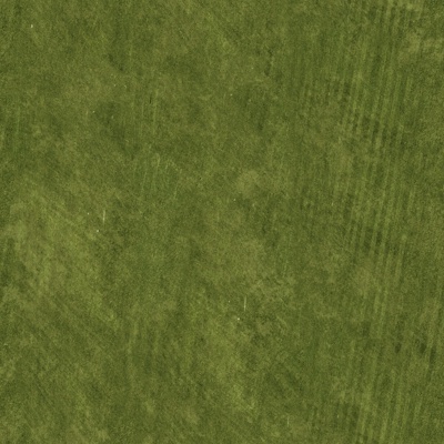  高清真实草地 草坪 草皮 植物 草丛灌木绿植地面 草地草坪草 