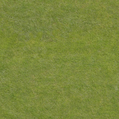  真实草地 草坪 草皮 植物 草丛绿植地面 