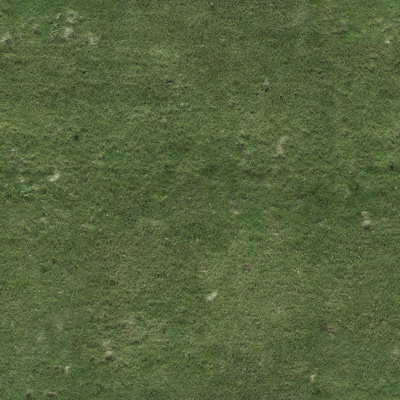  草地 草坪 草皮 植物 草丛绿植地 