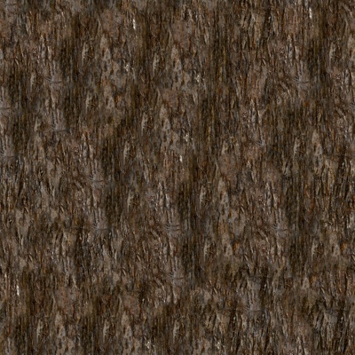  无缝开裂干枯树皮纹理 