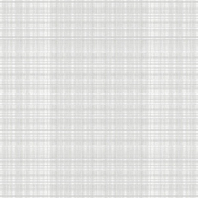  浅灰色细纹夹丝玻璃 