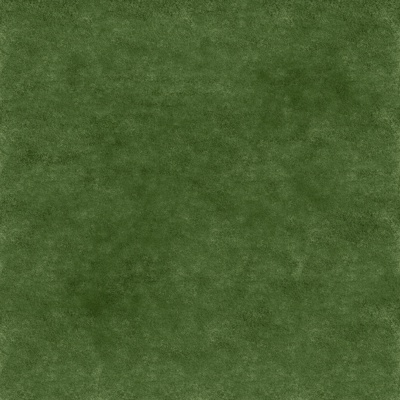  草坪 草皮地面 草地 绿植地面 