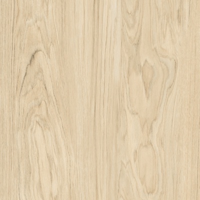  金丝榆木木纹木饰面贴图 