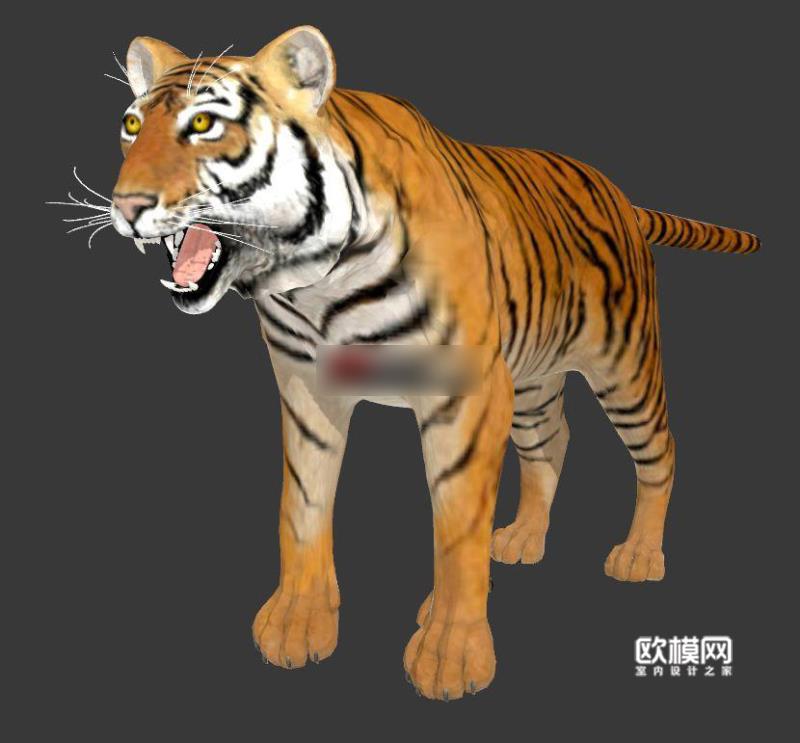 d13森林之王-老虎3d模型下载