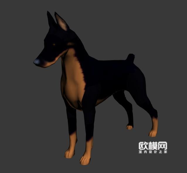 D3德国杜宾犬3d模型下载 免费3dmax模型库 欧模网