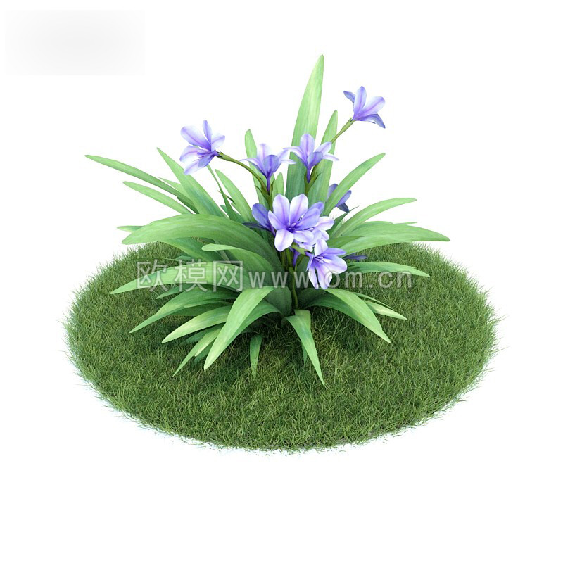 花草3d模型(34)-免费3dmax模型库-欧模网