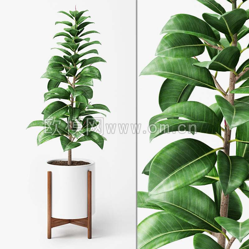 现代绿植盆栽3D模型