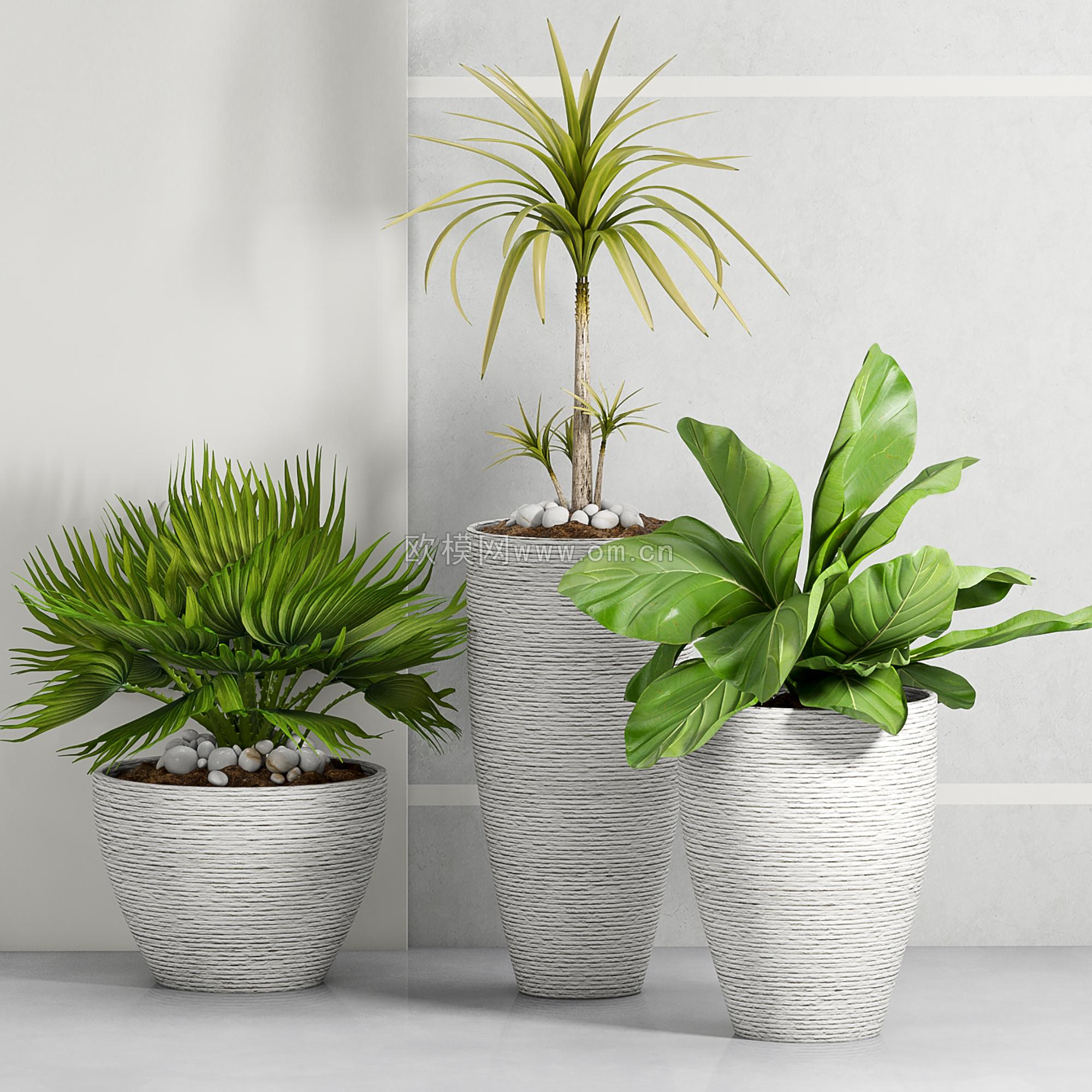 现代绿植盆栽组合3d模型