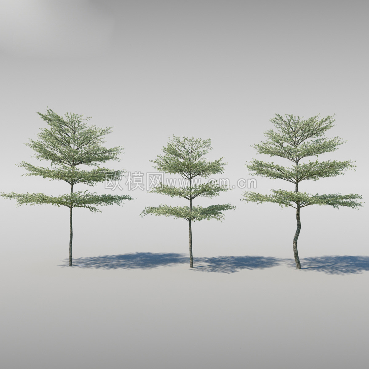 室外树3D模型免费下载 (6)下载_ID10105352_3dmax免费模型-欧模网