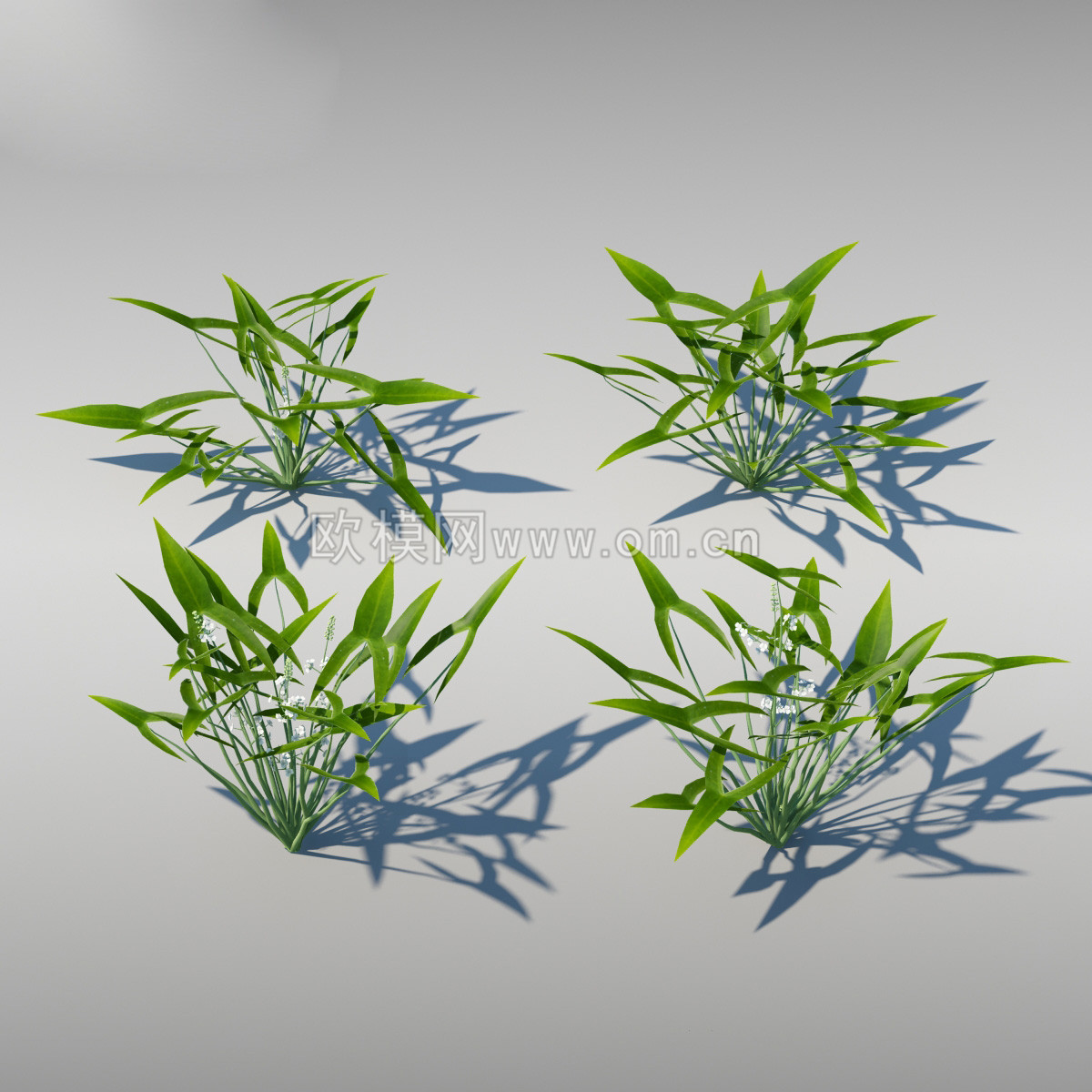 室外花草3D模型免费下载 (40)-免费3dmax模型库-欧模网