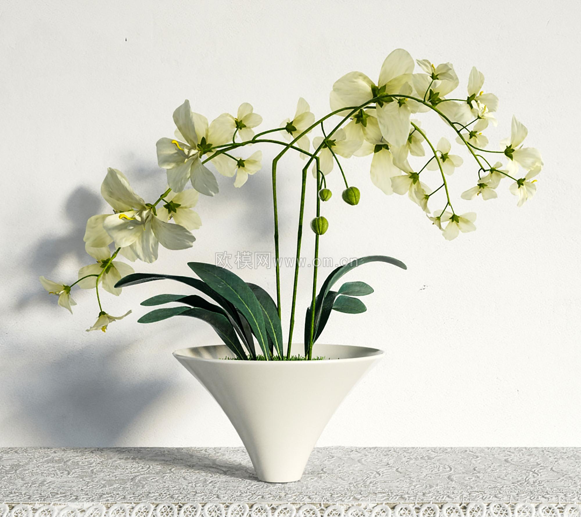 现代兰花盆栽3D模型-免费3dmax模型库-欧模网