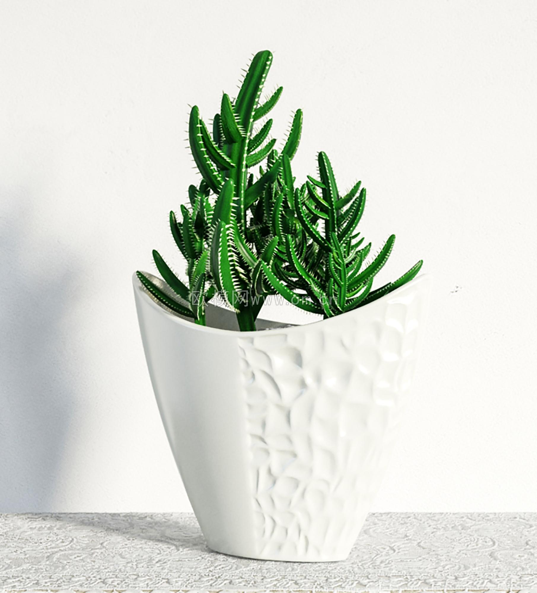 现代仙人掌盆景3d模型