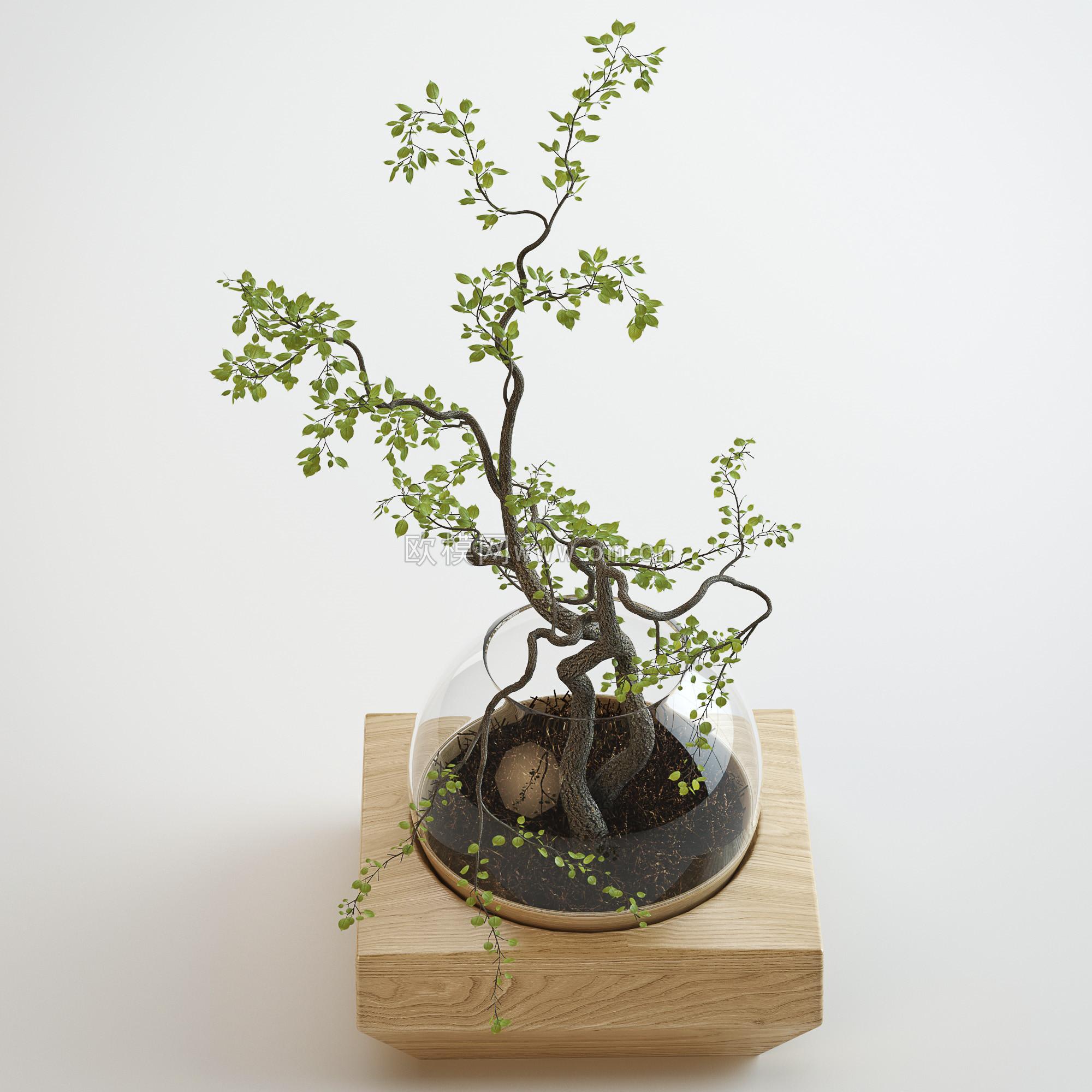 现代绿植盆栽3D模型