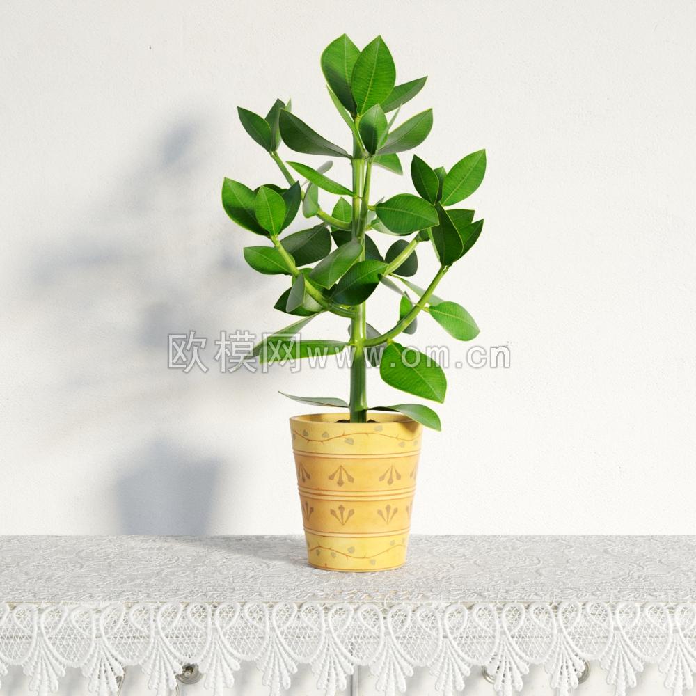 现代植物盆栽3D模型