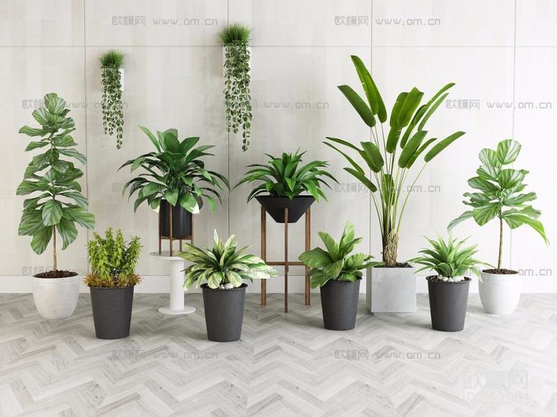 盆栽花架展示架 95