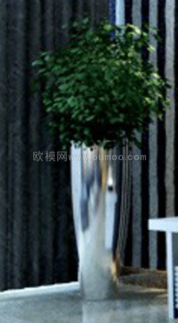 室内盆栽