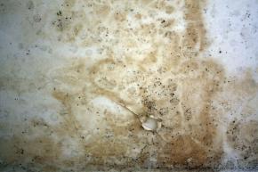  肌理 水泥 土地-水泥墙 106 