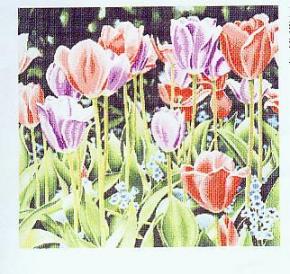  石材-石材拼花 004 