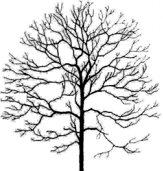 凹凸黑白-黑白凹凸 274下载