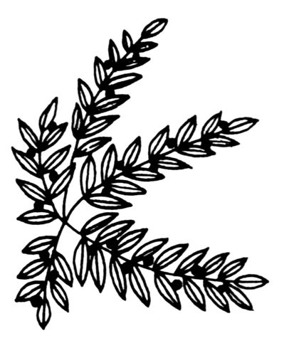 凹凸黑白-黑白凹凸 431下载