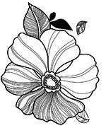 凹凸黑白-黑白凹凸 435下载