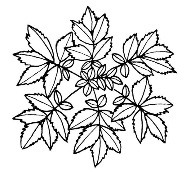 凹凸黑白-黑白凹凸 453下载