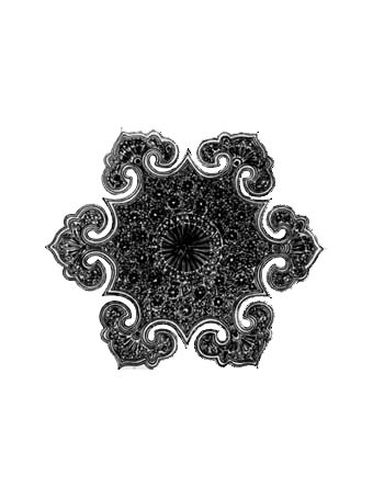 凹凸黑白-黑白古典 677下载