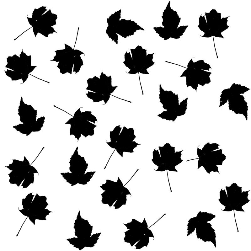 凹凸黑白-黑白古典 1190下载