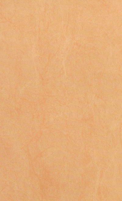 壁纸-壁纸 828下载