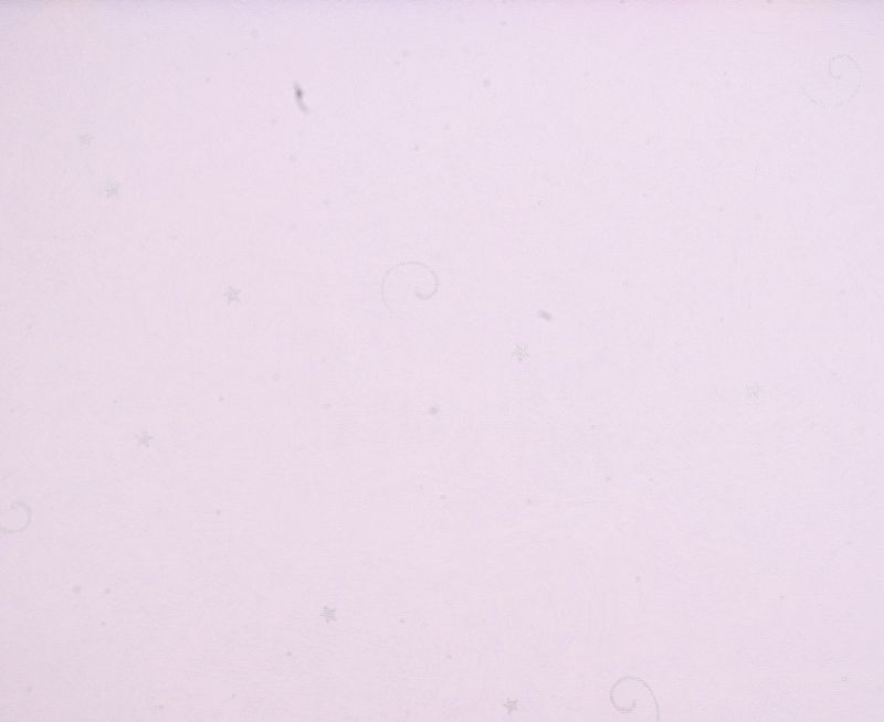 壁纸-儿童壁纸 067下载