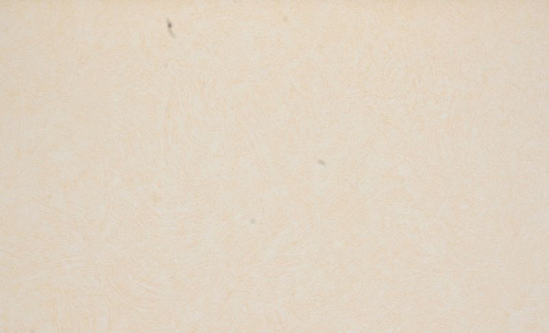 壁纸-儿童壁纸 080下载