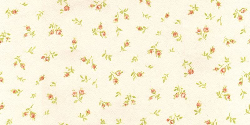 壁纸-花壁 084下载