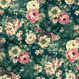 壁纸-花壁 201下载