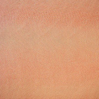 壁纸-花壁 217下载