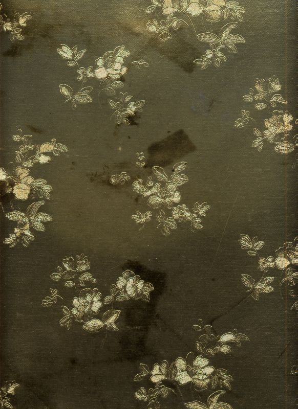 壁纸-花壁 550下载