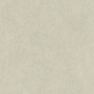 壁纸-浅壁 347下载