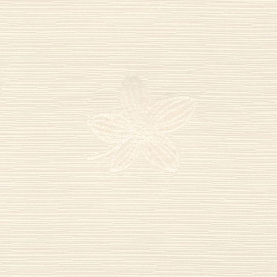 壁纸-浅壁 1031下载