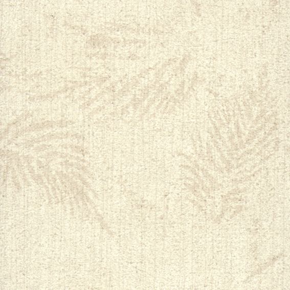 壁纸-浅壁 1065下载