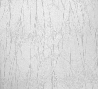 壁纸-高清壁纸 082下载