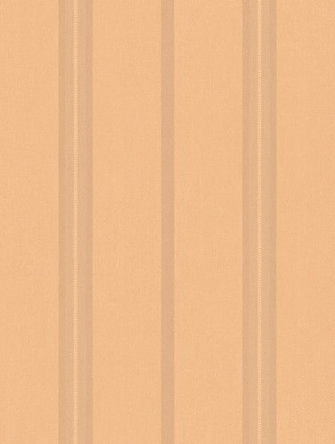 壁纸-条壁 312下载