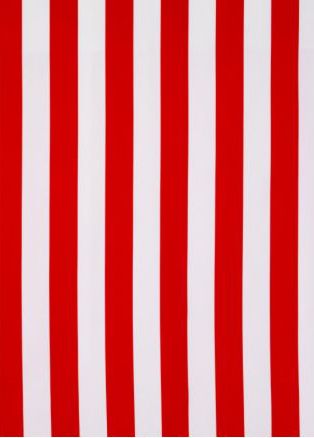 布纹-时尚花布 021下载