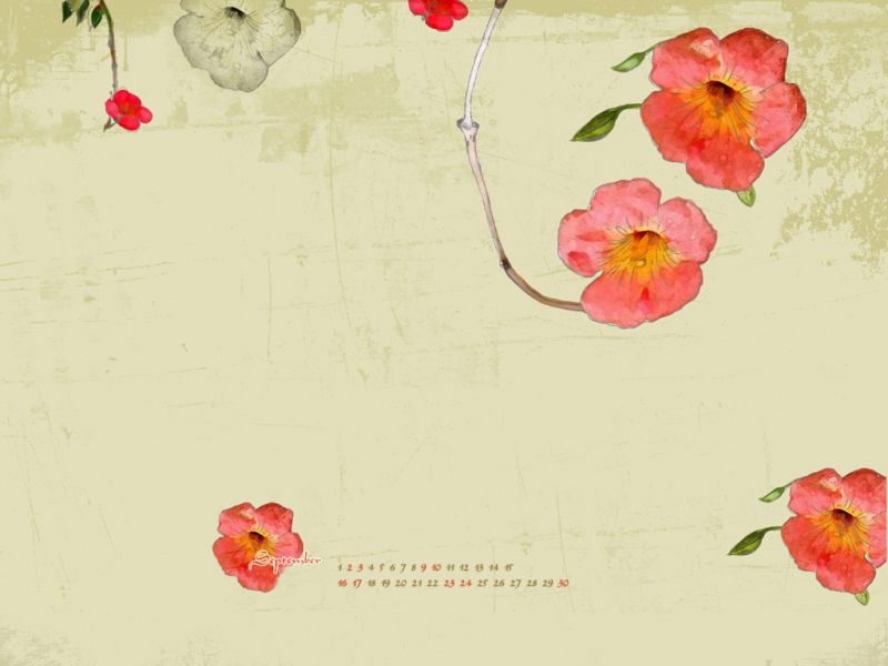 布纹-时尚花布 092下载