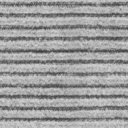 布纹-麻布 082下载