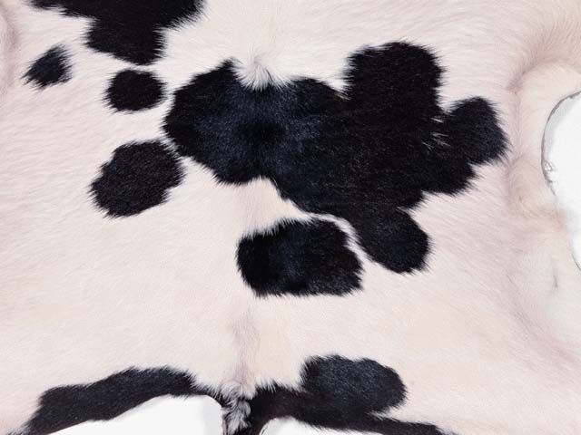 地毯-动物毛毯 048下载