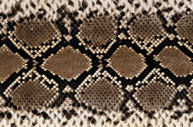 地毯-动物毛毯 069下载